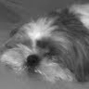 Meet your Posher, Joanna